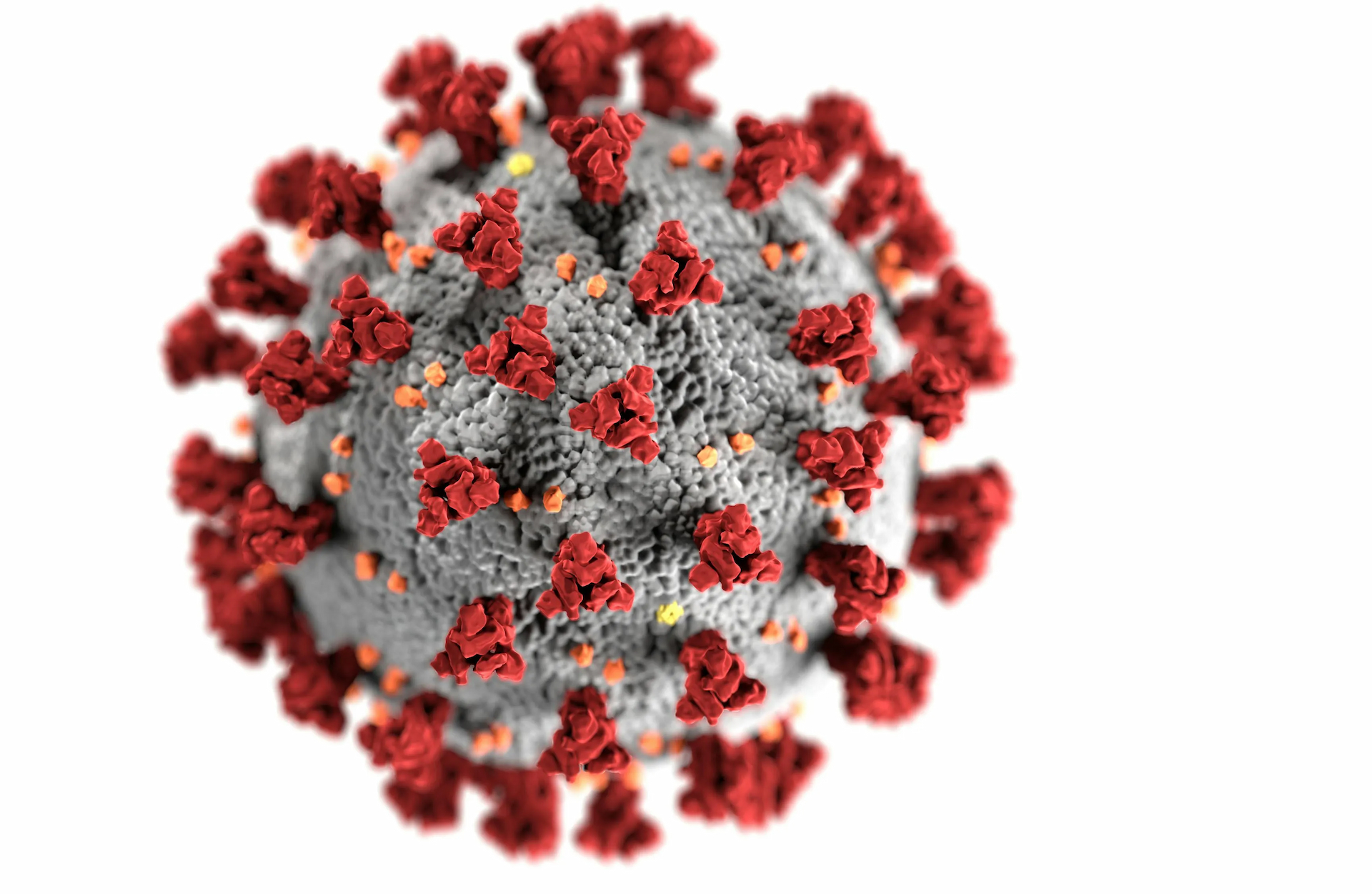 Chandipura Virus spreads in Gujarat
