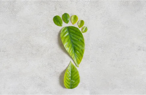 8 Eco-Friendly Hacks: Reducing Your Carbon Footprint in 2024