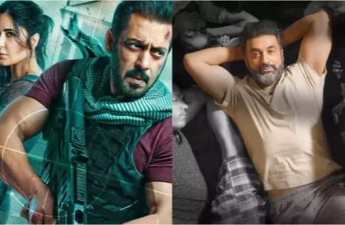 Highest-grossing Bollywood Movies in 2023 Ranked!